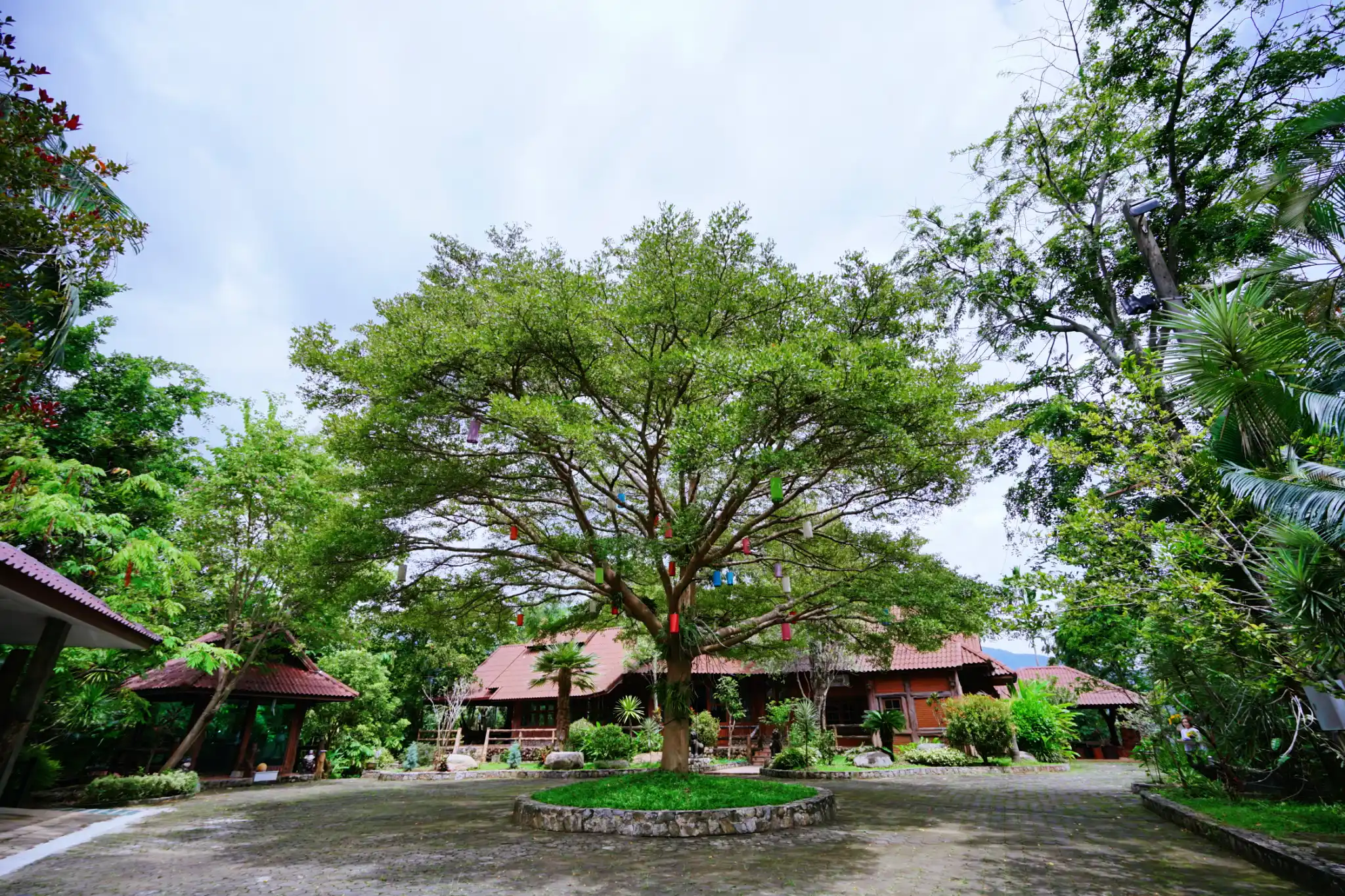 ที่จอดรถกว้างขวาง